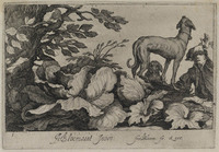 TvB G 0224
<br/>
Jachthonden
<br/>
<em>Bloemaert, Frederick (1614/17 -1669)</em>